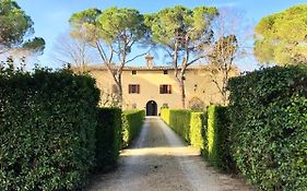 Villa Buonsignori - Wine & Olive Oil Farm