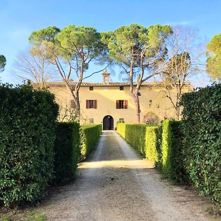 Villa Buonsignori - Wine & Olive Oil Farm Corsano  Extérieur photo