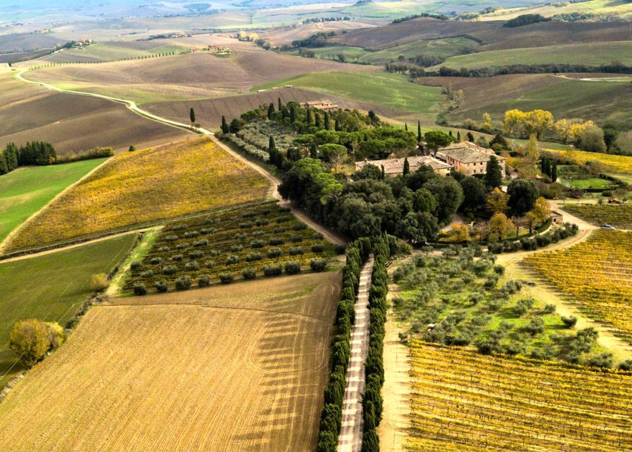 Villa Buonsignori - Wine & Olive Oil Farm Corsano  Extérieur photo