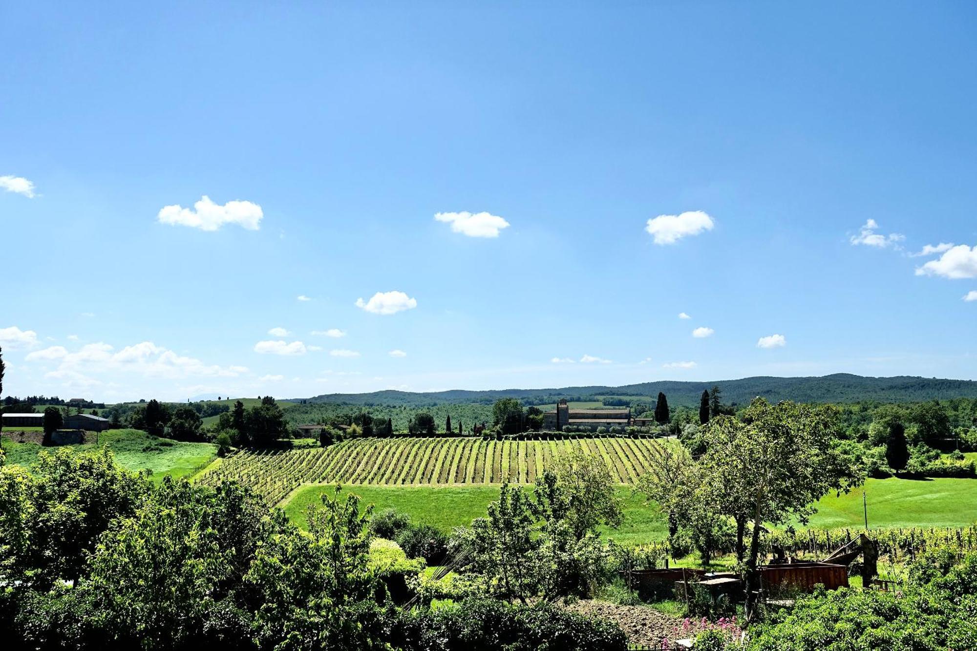Villa Buonsignori - Wine & Olive Oil Farm Corsano  Extérieur photo
