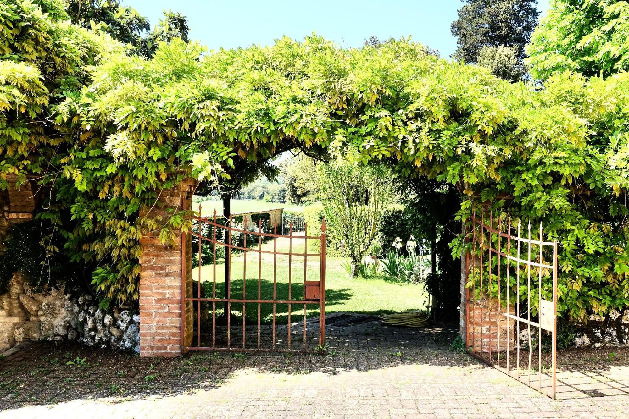 Villa Buonsignori - Wine & Olive Oil Farm Corsano  Extérieur photo